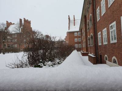 Wei�ensee im Winter 2020/2021, Foto Dr. Kersten Schulz