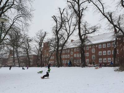Wei�ensee im Winter 2020/2021, Foto Dr. Kersten Schulz