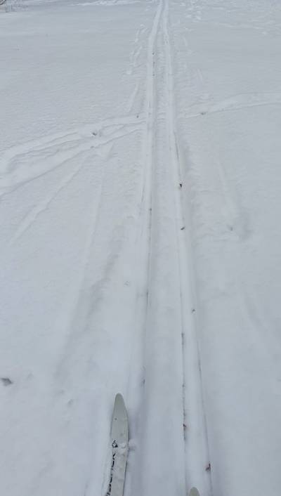 Wei�ensee im Winter 2020/2021, Foto Dr. Kersten Schulz