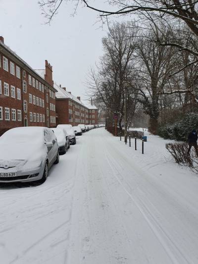 Wei�ensee im Winter 2020/2021, Foto Dr. Kersten Schulz