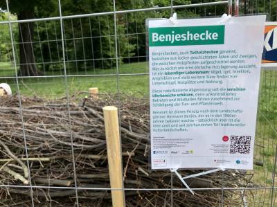 Benjeshecke (als Bsp. aufgebaut), die f�r die Ufersicherung aufgebaut werden soll