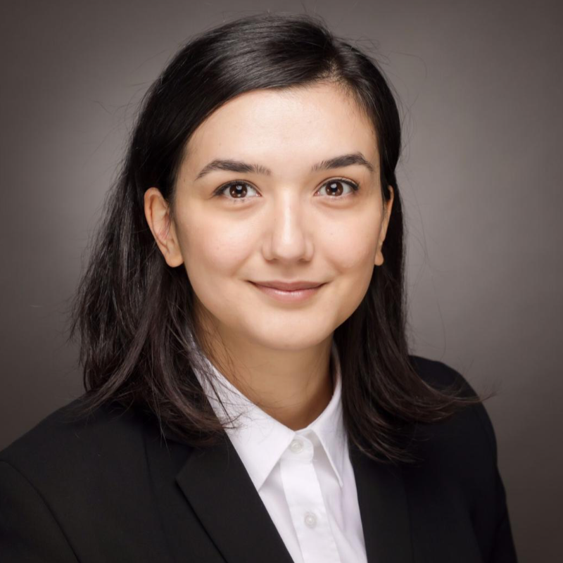  Nergis Birlikseven